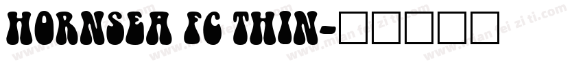HORNSEA FC THIN字体转换